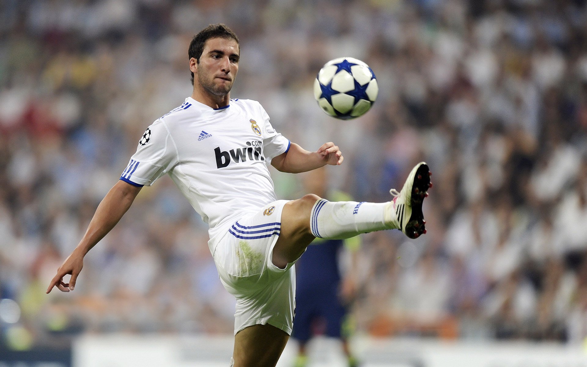 IG发布职业选手发展支持政策，lol职业选手ig